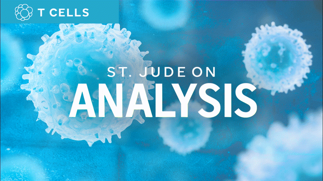 St. Jude on Analysis illustration