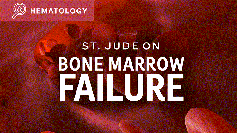 Bone Marrow Failure illustration