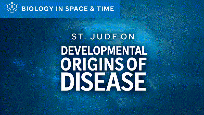 Developmental origins of disease