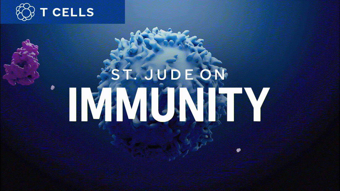 St. Jude on Immunity