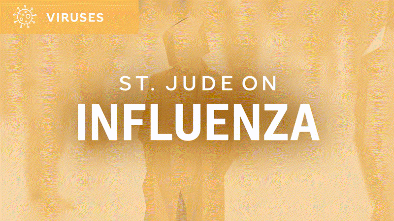 St. Jude on influenza