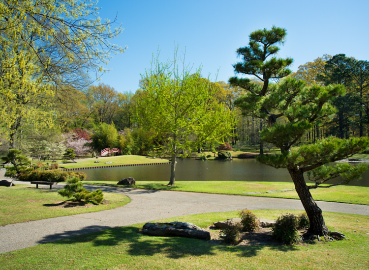 Image of lake in Memphis Botanic Garden with red bridge to Japanese Garden in the distance