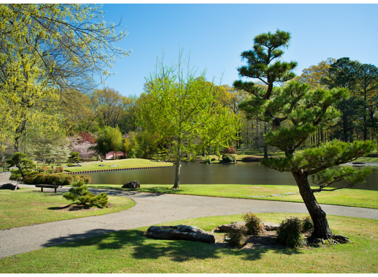 Image of lake in Memphis Botanic Garden with red bridge to Japanese Garden in the distance