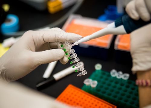 hands working with pipettes in lab