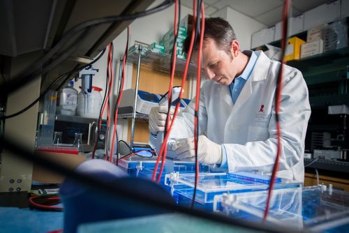 scientist working at a research bench