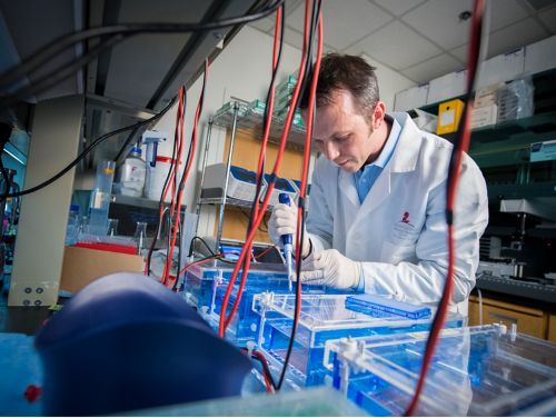 Photo of man working in lab