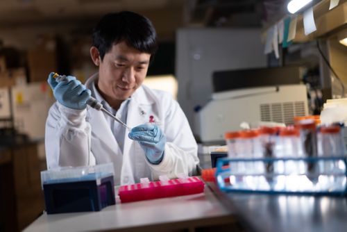 Ruopeng Feng, PhD, St. Jude Department of Hematology.