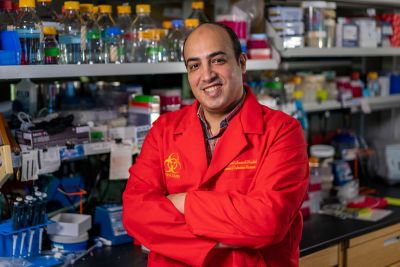 Ahmed Kandeil, PhD