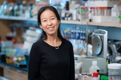 Hong Joo Kim, PhD 