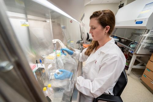 Scientist at work in the lab under a hood