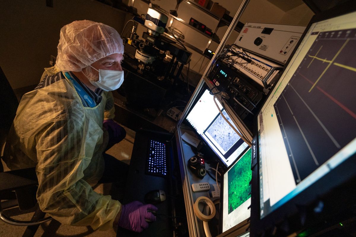 Zakharenko Lab | St. Jude Research