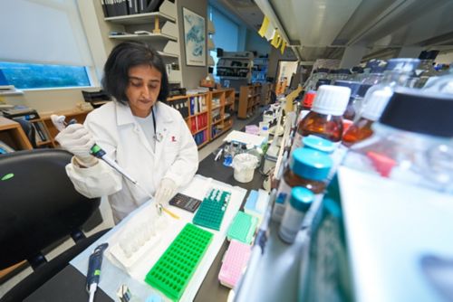 A scientist standing at the bench pipetting samples into containers