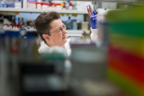 A scientist holding up a petri dish to examine a sample in the lab