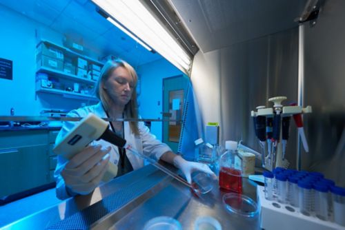 A scientist working under a hood with blue light behind her.