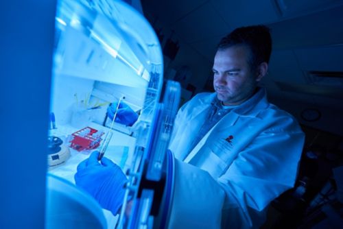 A scientist conducting work in an infectious disease lab