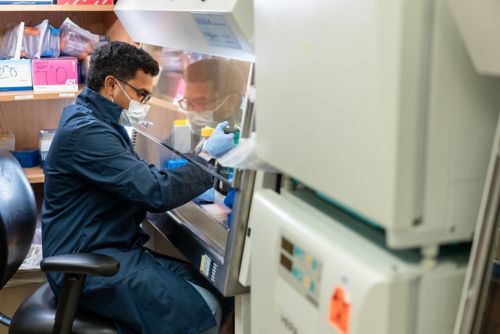 A scientist sits in front of a hood with a refrigerator in the right-hand side of the photo frame.