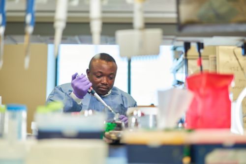 A scientist pipetting at the bench.