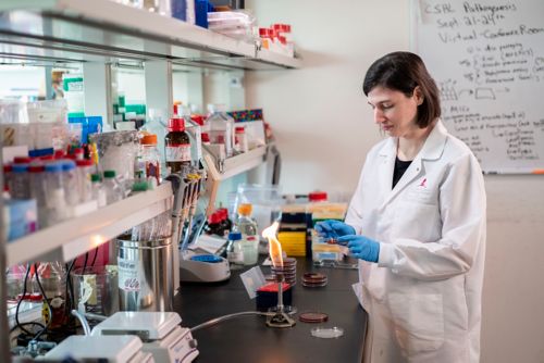 A female scientist standing at the bench in a lab, holding a petri dish in front of a lit bunsen burner.