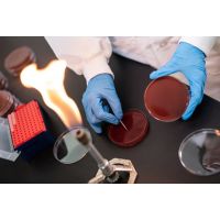 Scientist in lab wearing gloves and with bunsen burner on