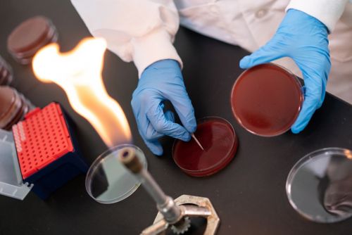 Scientist in lab with gloved hands and bunsen burner