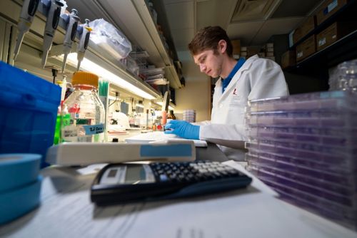 A male scientist sitting at the bench in the lab, analyzing dishes of specimens and taking notes. A calculator is in fame as well.