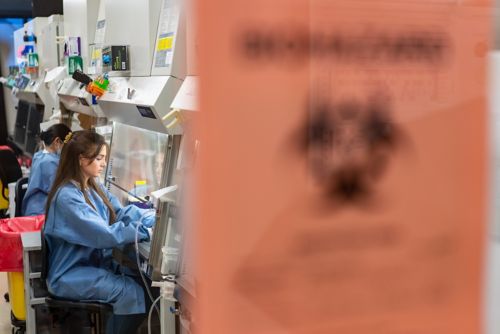 A female scientist sits in front of a ventilated hood in the laboratory and performs work.