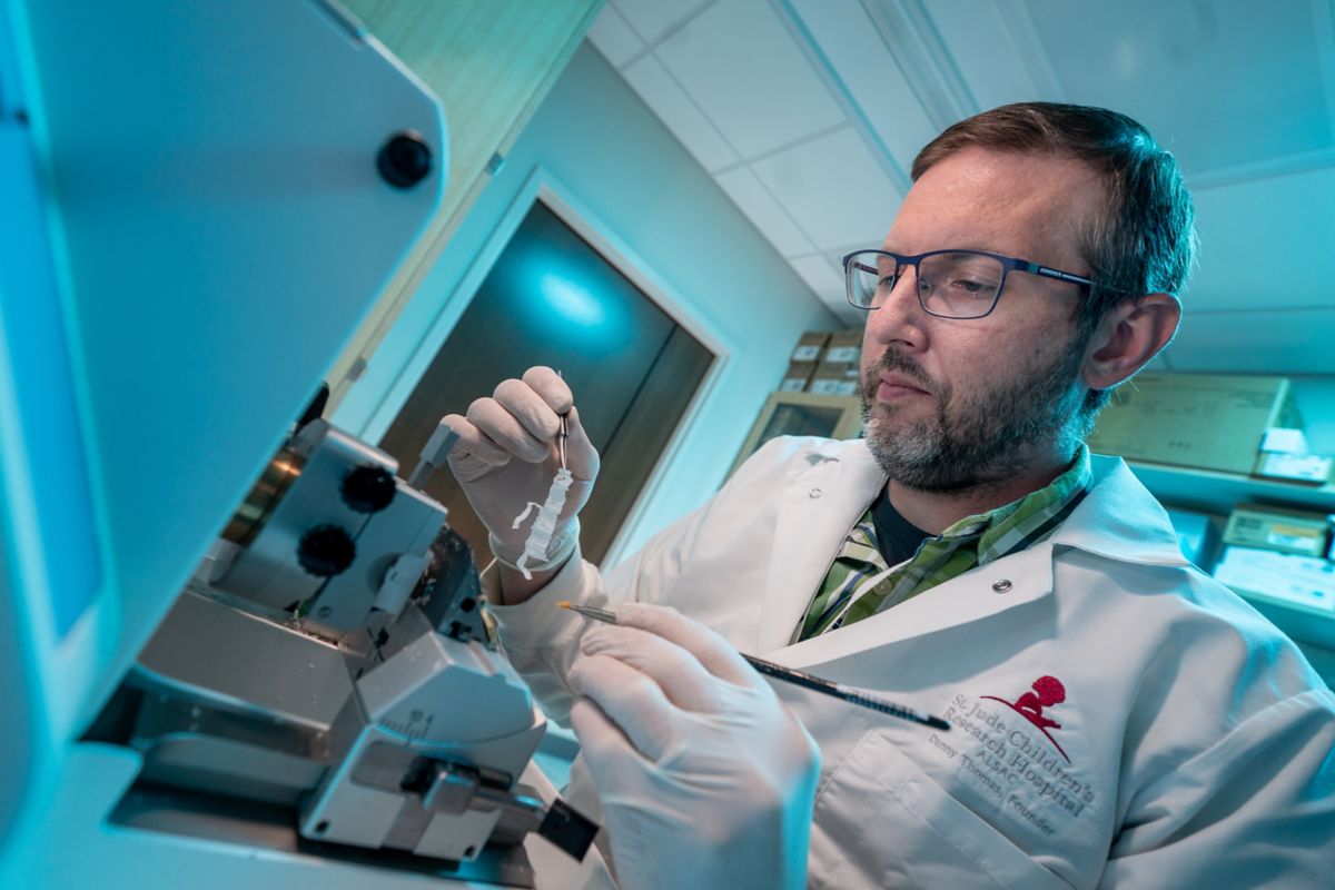 Cao Lab | St. Jude Research