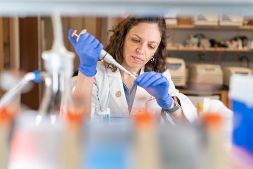 A scientist inserts a substance into a test tube with a pipette at the bench.