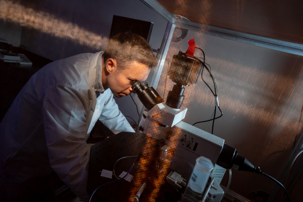 Schwarz Lab | St. Jude Research