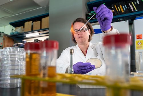 A scientist sits in front of a lit Bunsen burner at the bench.