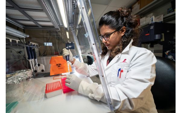 Labs | St. Jude Research