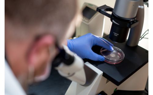 image of man placing petri dish under microscope