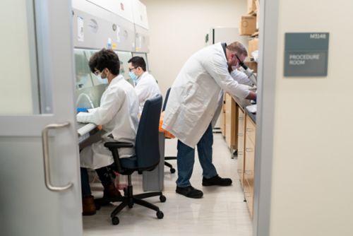 Scientists in lab