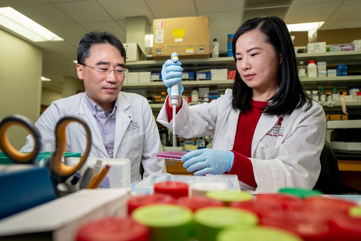 Geeleher Lab St. Jude Research