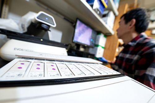 Man working at a keyboard in a lab