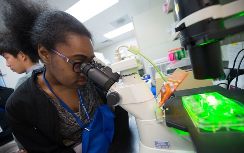 Student looking into microscope