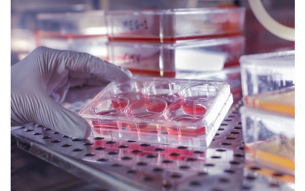 Labs | St. Jude Research