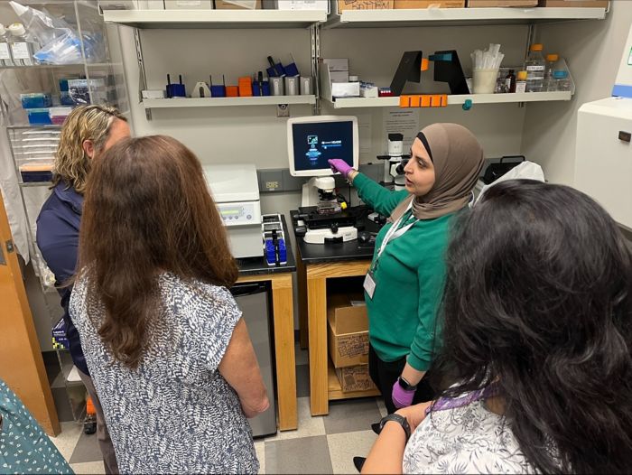 Nichols Lab