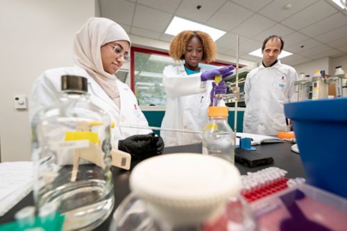 Students in the St. Jude High School Research Immersion Program