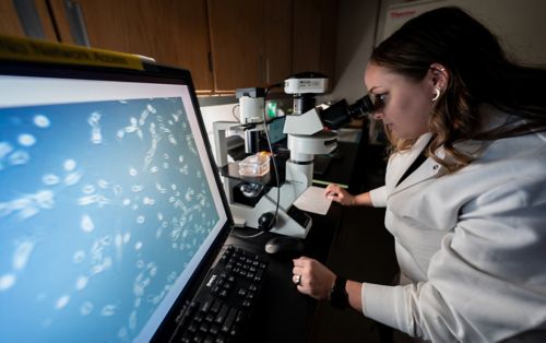 Woman looking into a microscope with a computer screen showing cells on her left