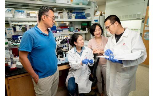 Group of people in lab