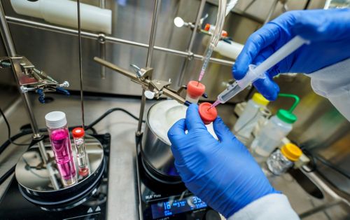 photo of gloved hands working in lab