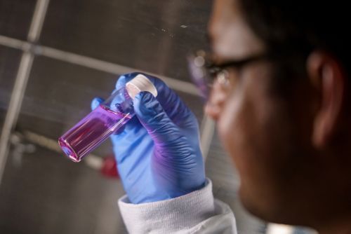 image of person looking at test tube