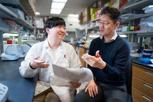 Yuta Yamada, MD, PhD, and Masayuki Yamashita, MD, PhD