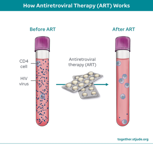 Vial of blood before ART and after ART