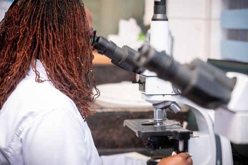 Scientist looking through microscope