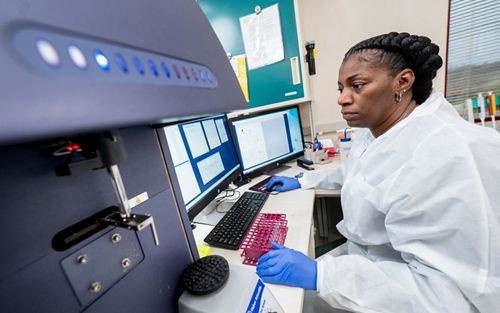 image of people working in lab