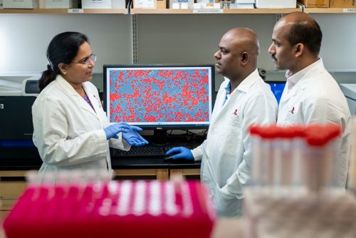 Corresponding author Thirumala-Devi Kanneganti, Ph.D., with co-first authors Balamurugan Sundaram, Ph.D., and Nagakannan Pandian, Ph.D.