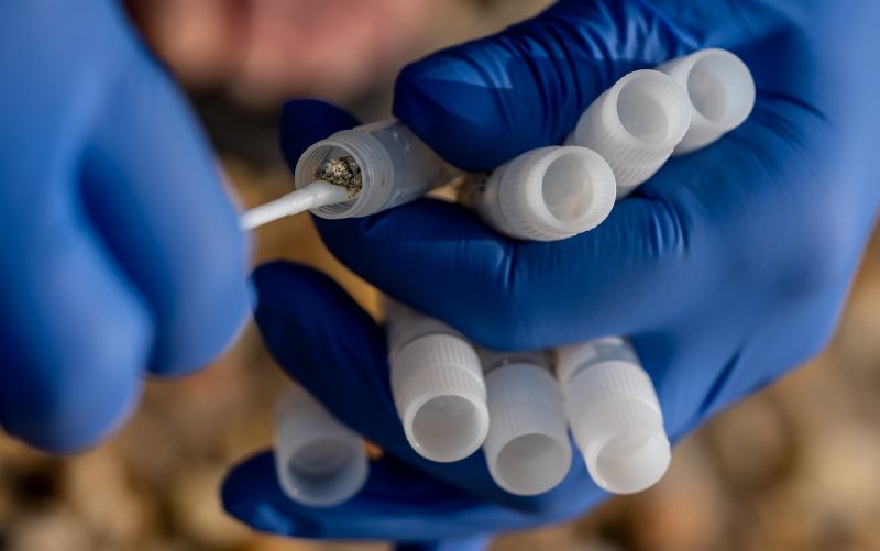 Each stool sample is carefully placed and catalogued in a collection tube.