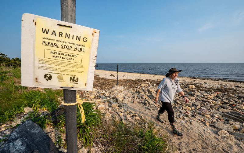 McKenzie walks past a sign warning the beach is closed